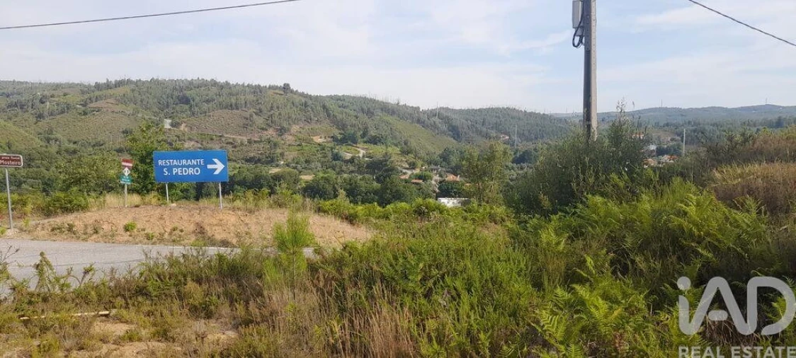 Terreno para Venda em Pedrogão Grande Foto 10