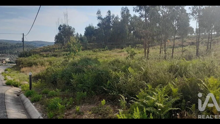 Terreno para Venda em Pedrogão Grande