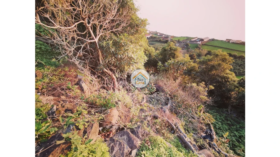 Terreno para Venda em Ribeira Seca Foto 10