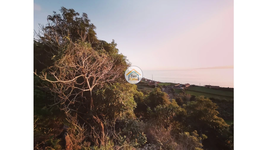 Terreno para Venda em Ribeira Seca Foto 11