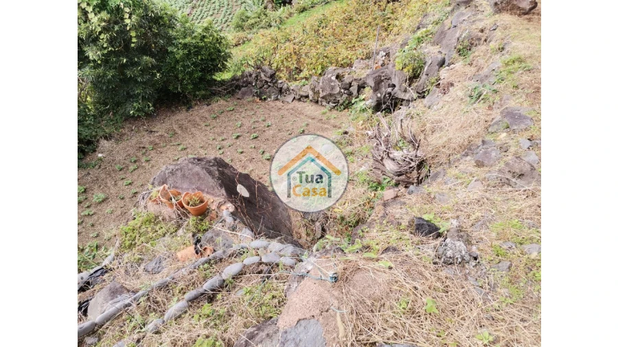 Terreno para Venda em Ribeira Seca Foto 6