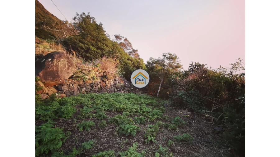 Terreno para Venda em Ribeira Seca Foto 9