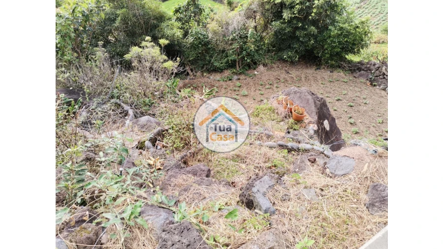 Terreno para Venda em Ribeira Seca Foto 5