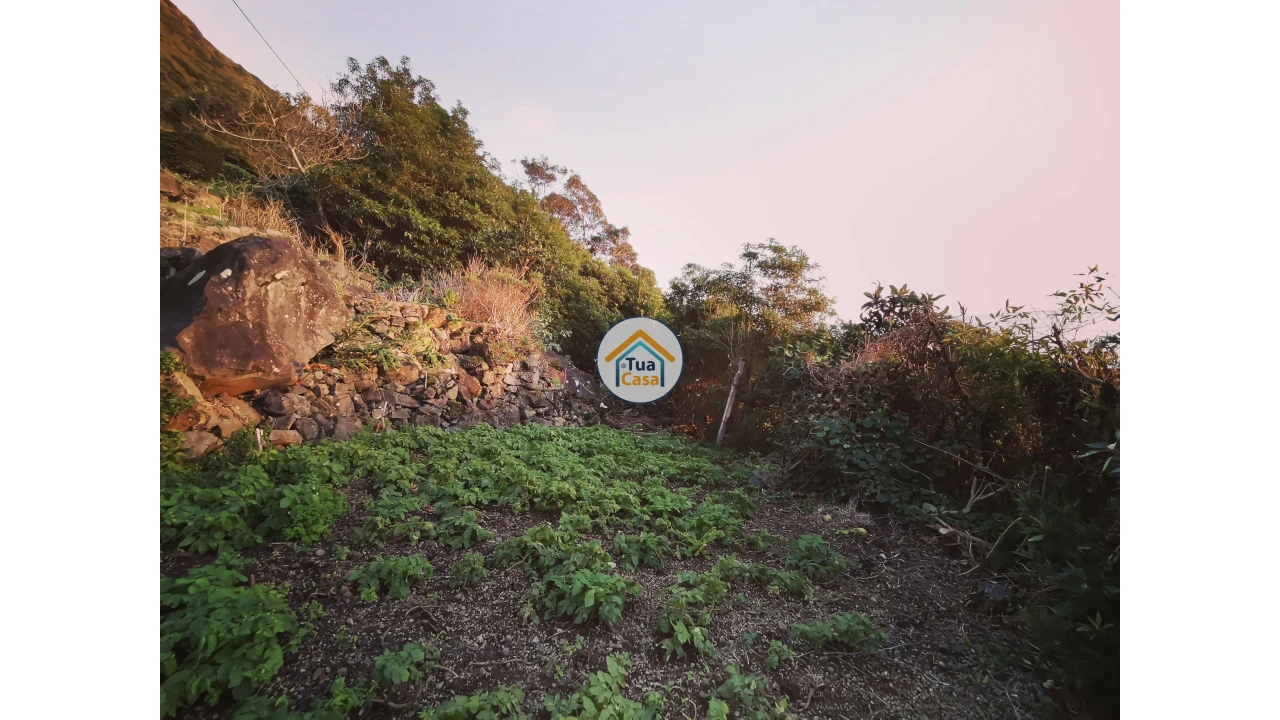 Terreno para Venda em Ribeira Seca Foto 9