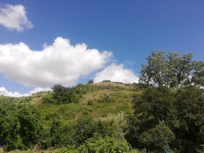 Terreno para Venda em Santo Quintino