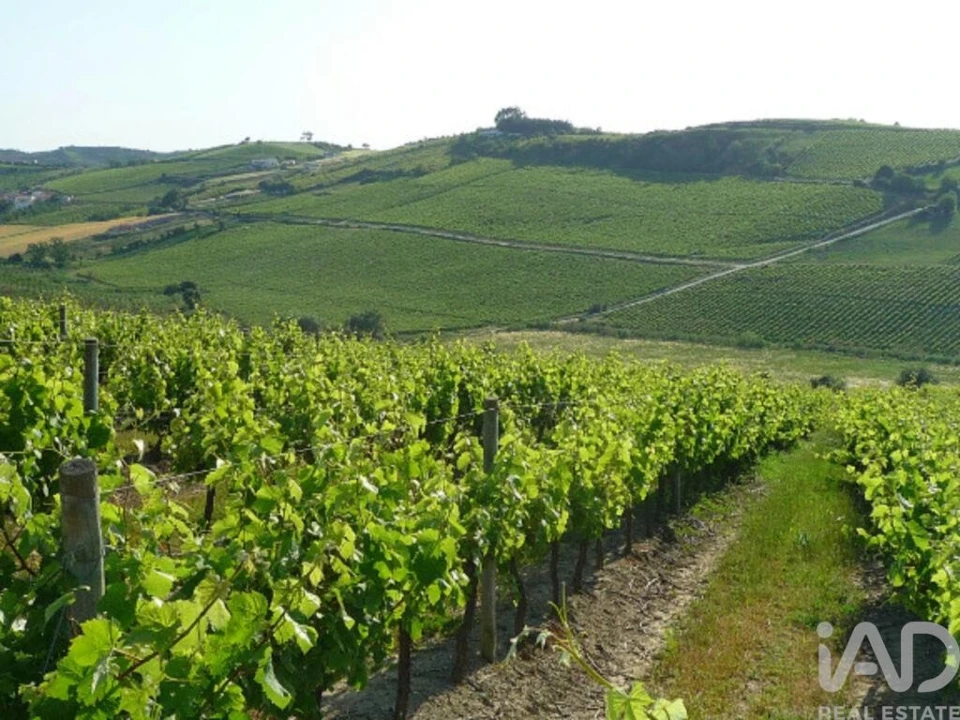 Terreno para Venda em Carnota Foto 14