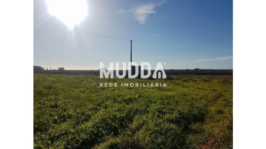 Quinta T3 para Venda em Valega Foto 5