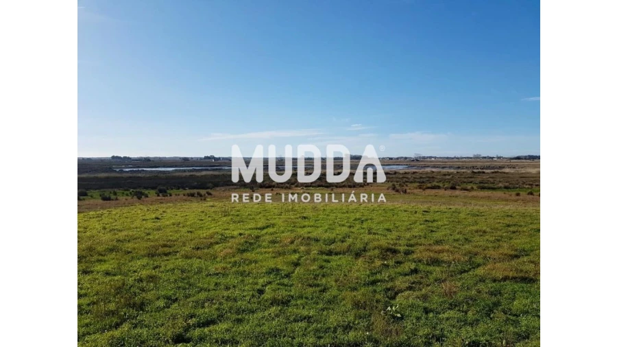 Quinta T3 para Venda em Valega Foto 8