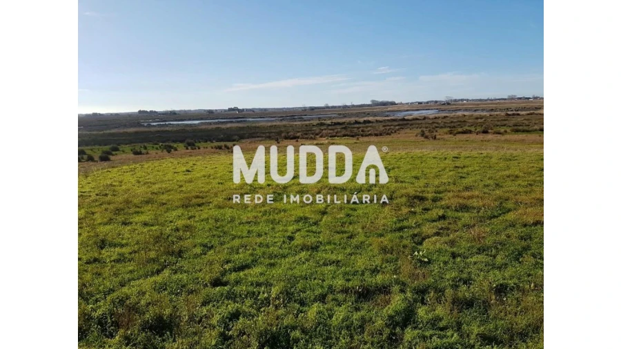 Quinta T3 para Venda em Valega