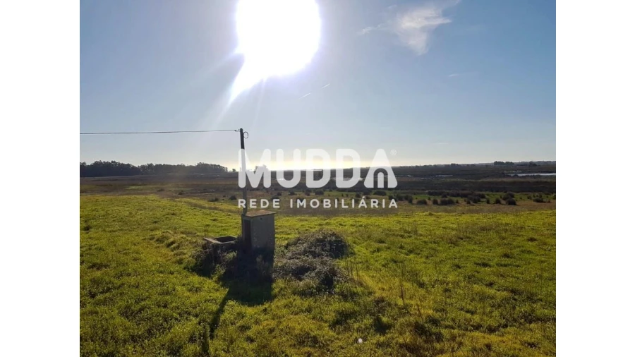 Quinta T3 para Venda em Valega Foto 4