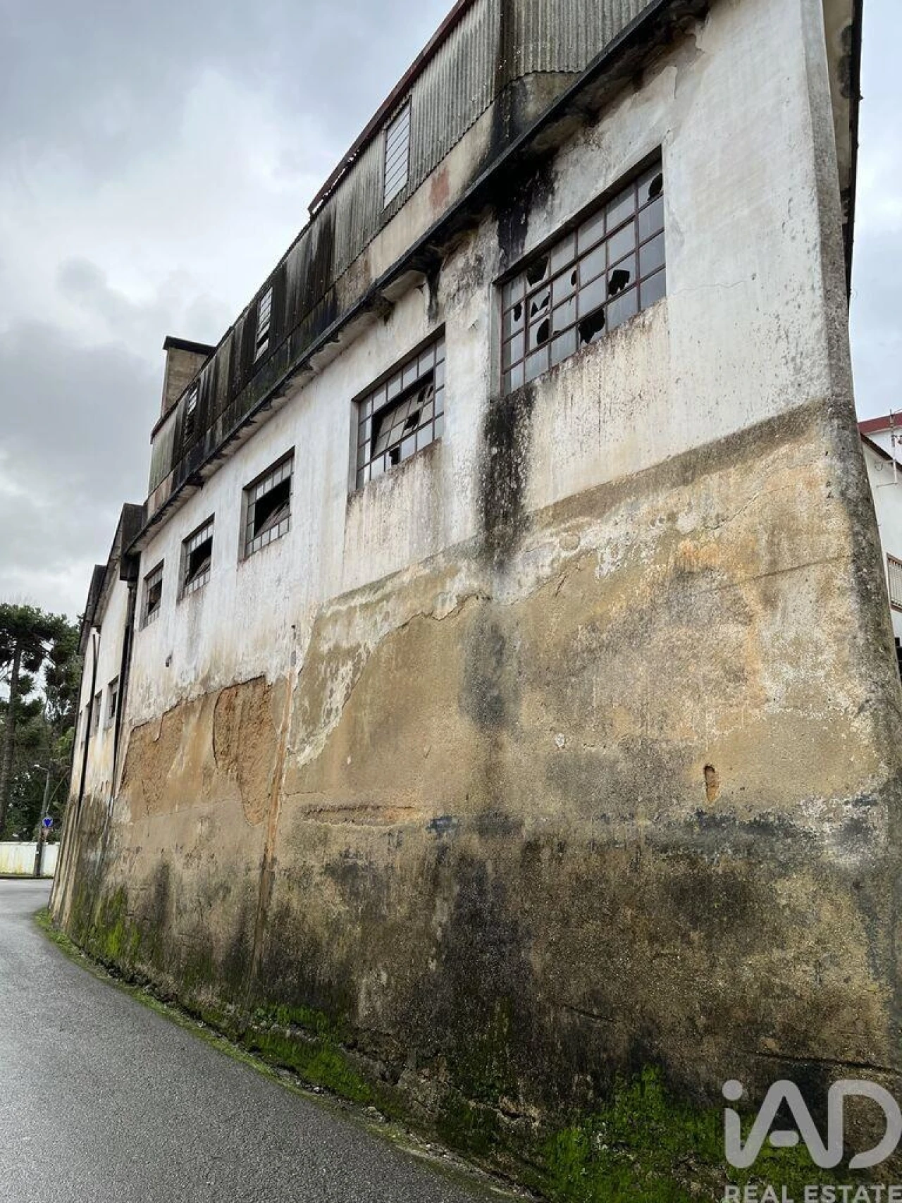 Loja para Venda em Águeda e Borralha Foto 5