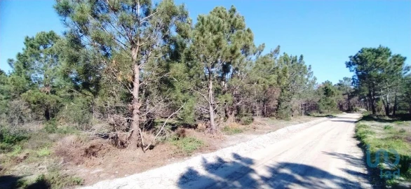 Terreno para Venda em Vila do Bispo e Raposeira