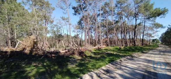 Terreno para Venda em Vila do Bispo e Raposeira