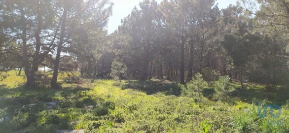 Terreno para Venda em Vila do Bispo e Raposeira