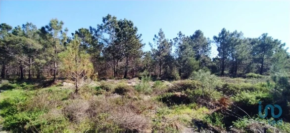 Terreno para Venda em Vila do Bispo e Raposeira