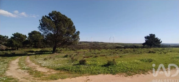 Terreno para Venda em Vila do Bispo e Raposeira
