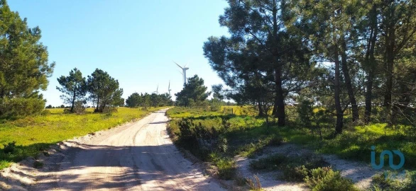 Terreno para Venda em Vila do Bispo e Raposeira