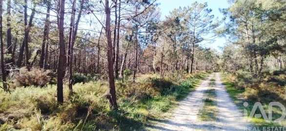 Terreno para Venda em Vila do Bispo e Raposeira