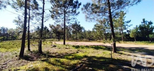 Terreno para Venda em Vila do Bispo e Raposeira