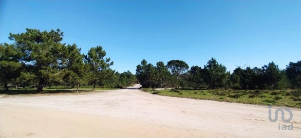 Terreno para Venda em Vila do Bispo e Raposeira