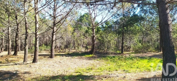 Terreno para Venda em Vila do Bispo e Raposeira