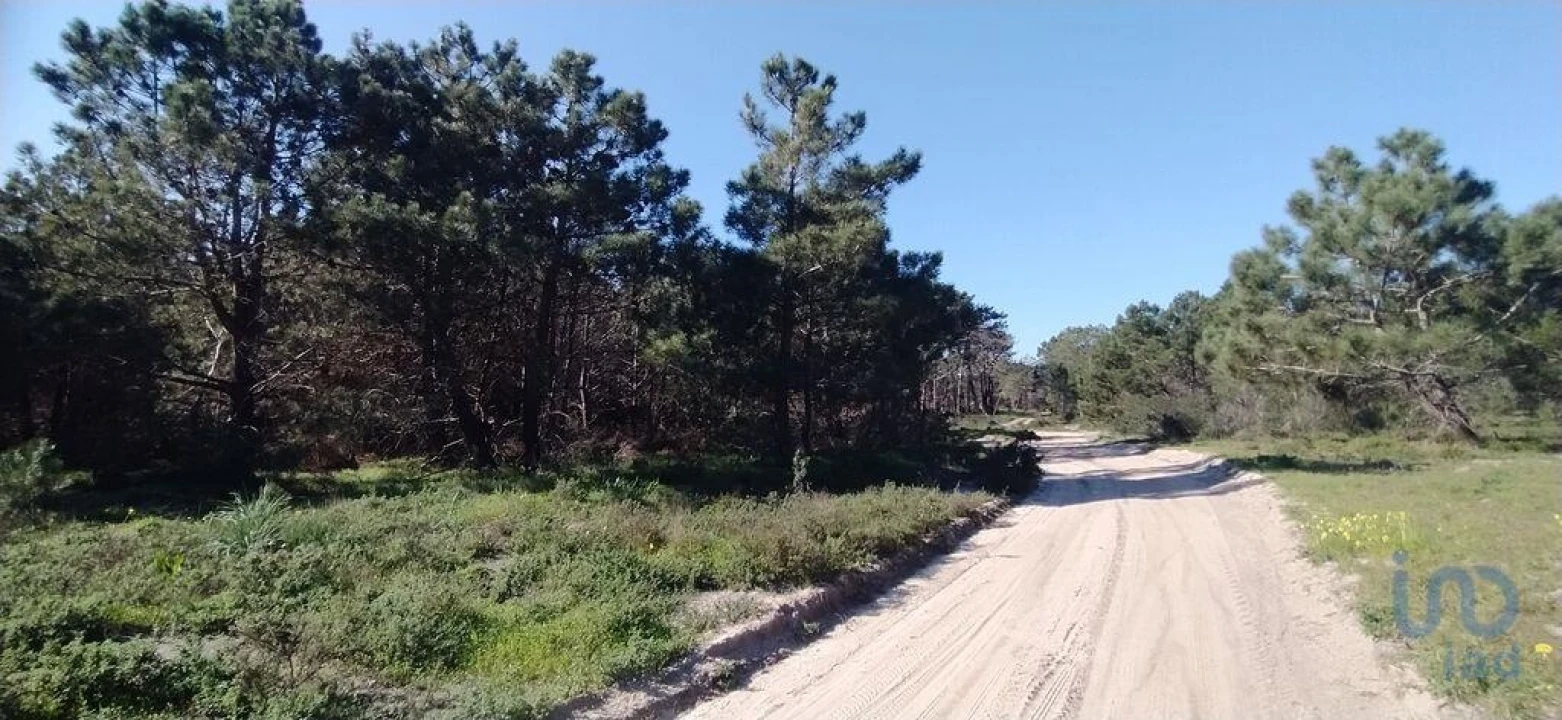 Terreno para Venda em Vila do Bispo e Raposeira Foto 14