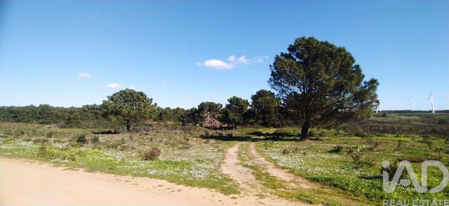 Terreno para Venda em Vila do Bispo e Raposeira Foto 26