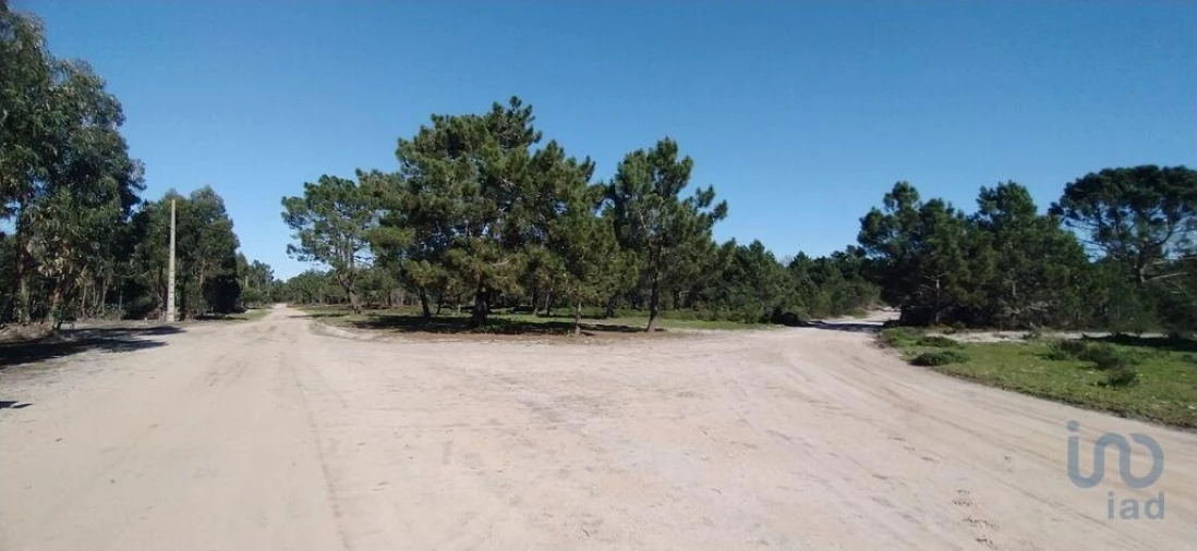 Terreno para Venda em Vila do Bispo e Raposeira Foto 3