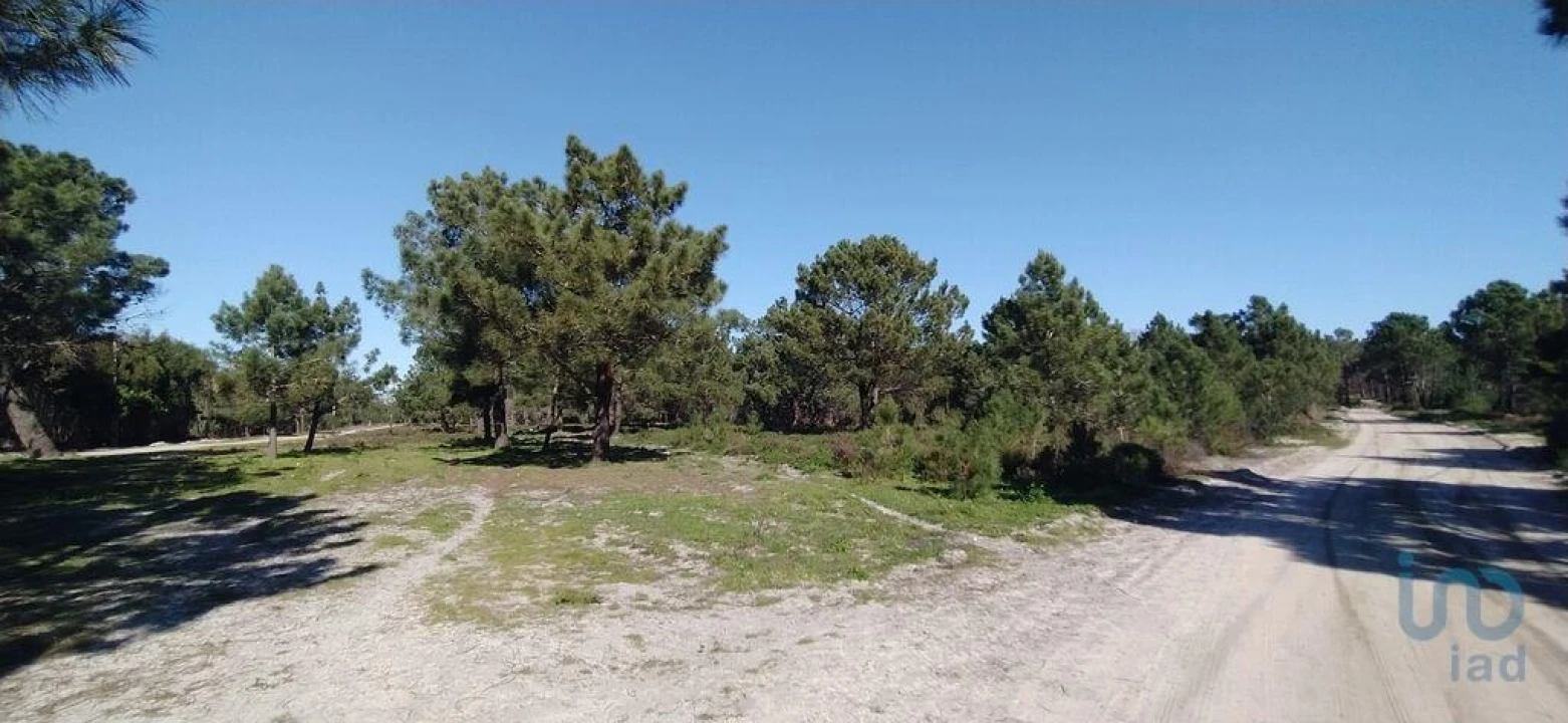 Terreno para Venda em Vila do Bispo e Raposeira Foto 5