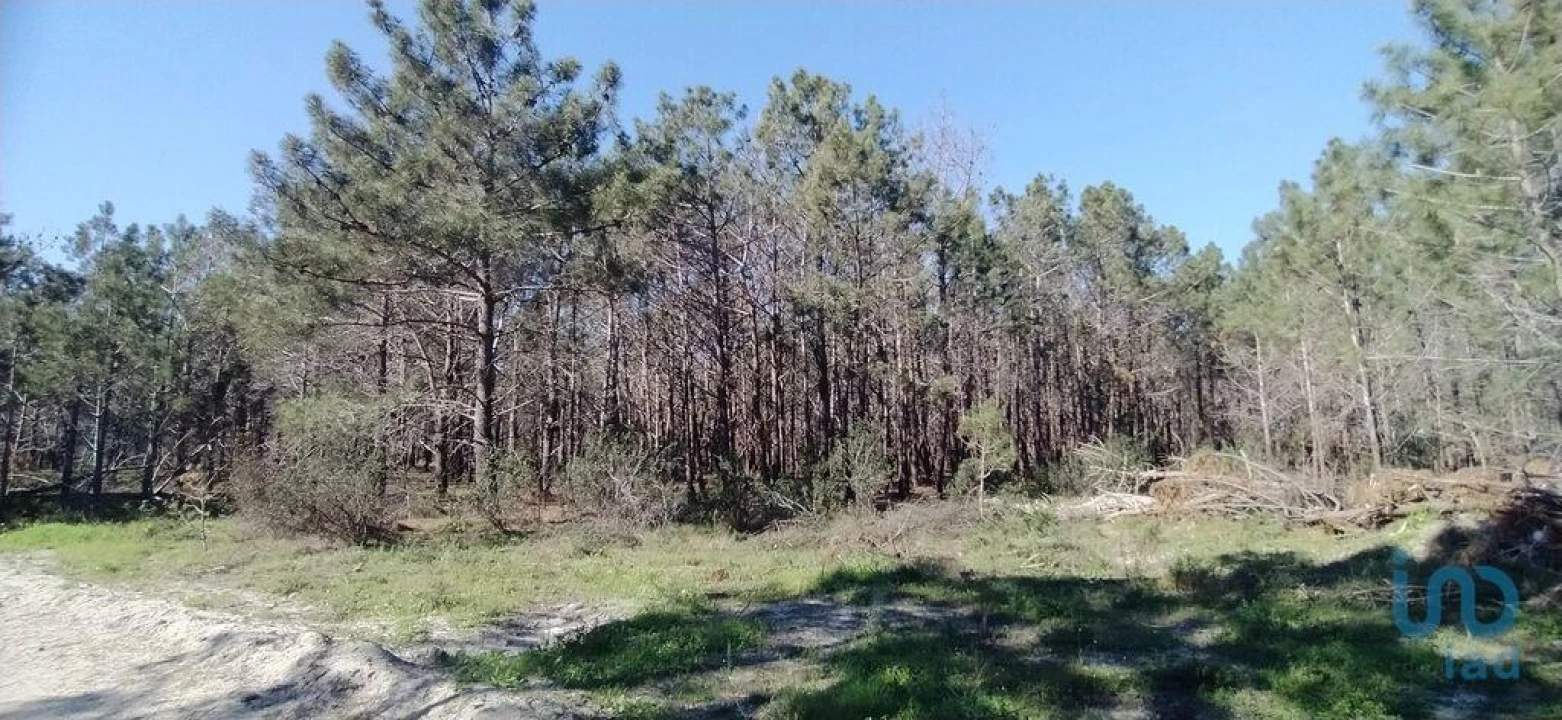 Terreno para Venda em Vila do Bispo e Raposeira Foto 8