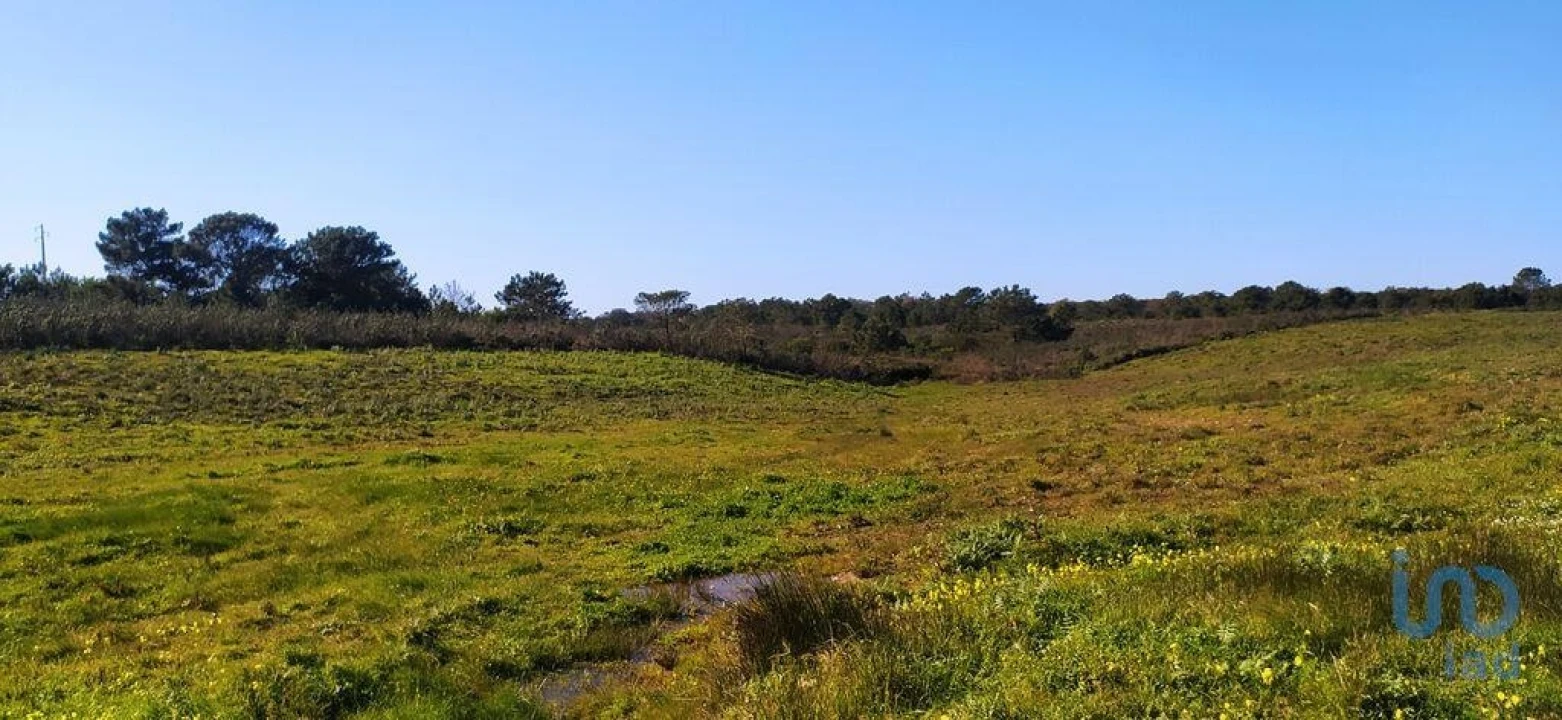 Terreno para Venda em Vila do Bispo e Raposeira Foto 10