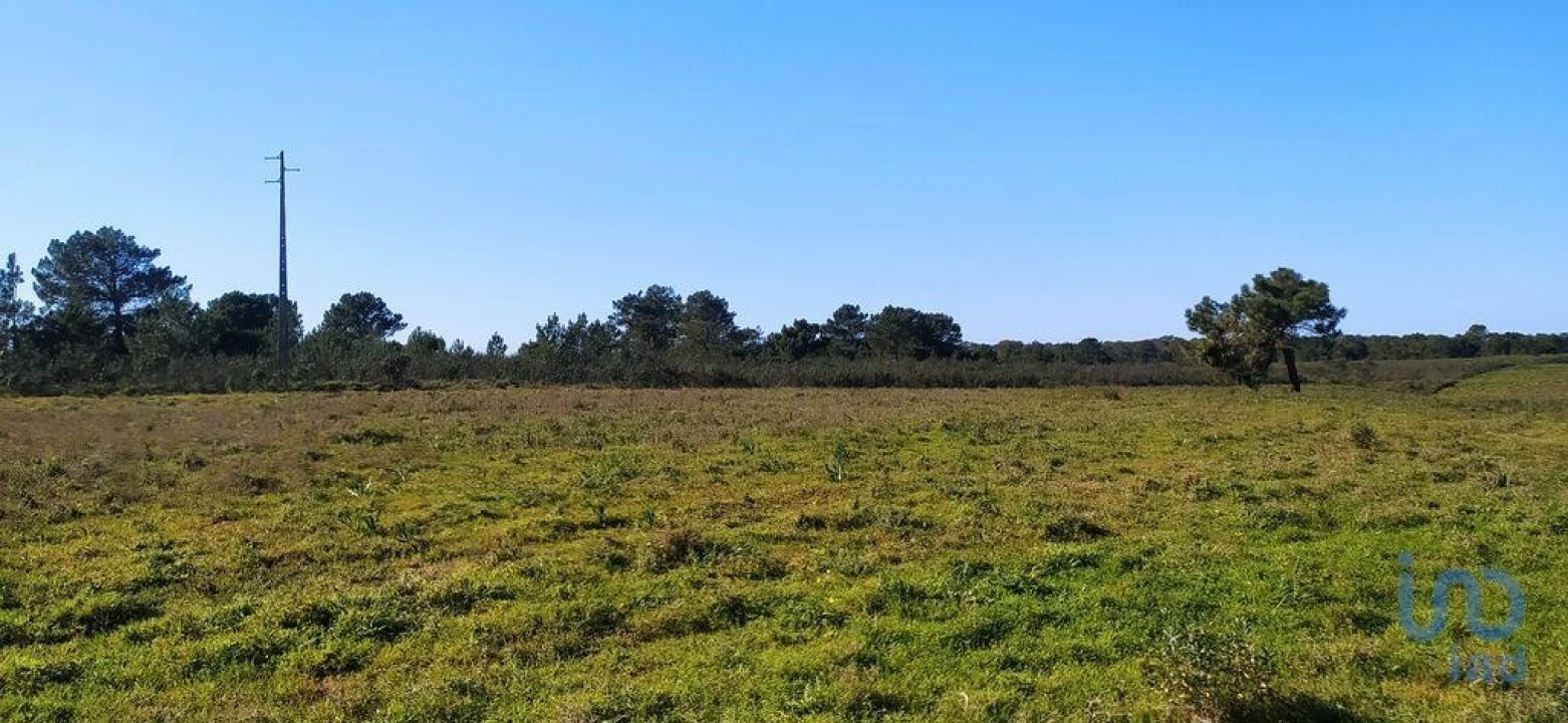 Terreno para Venda em Vila do Bispo e Raposeira Foto 5