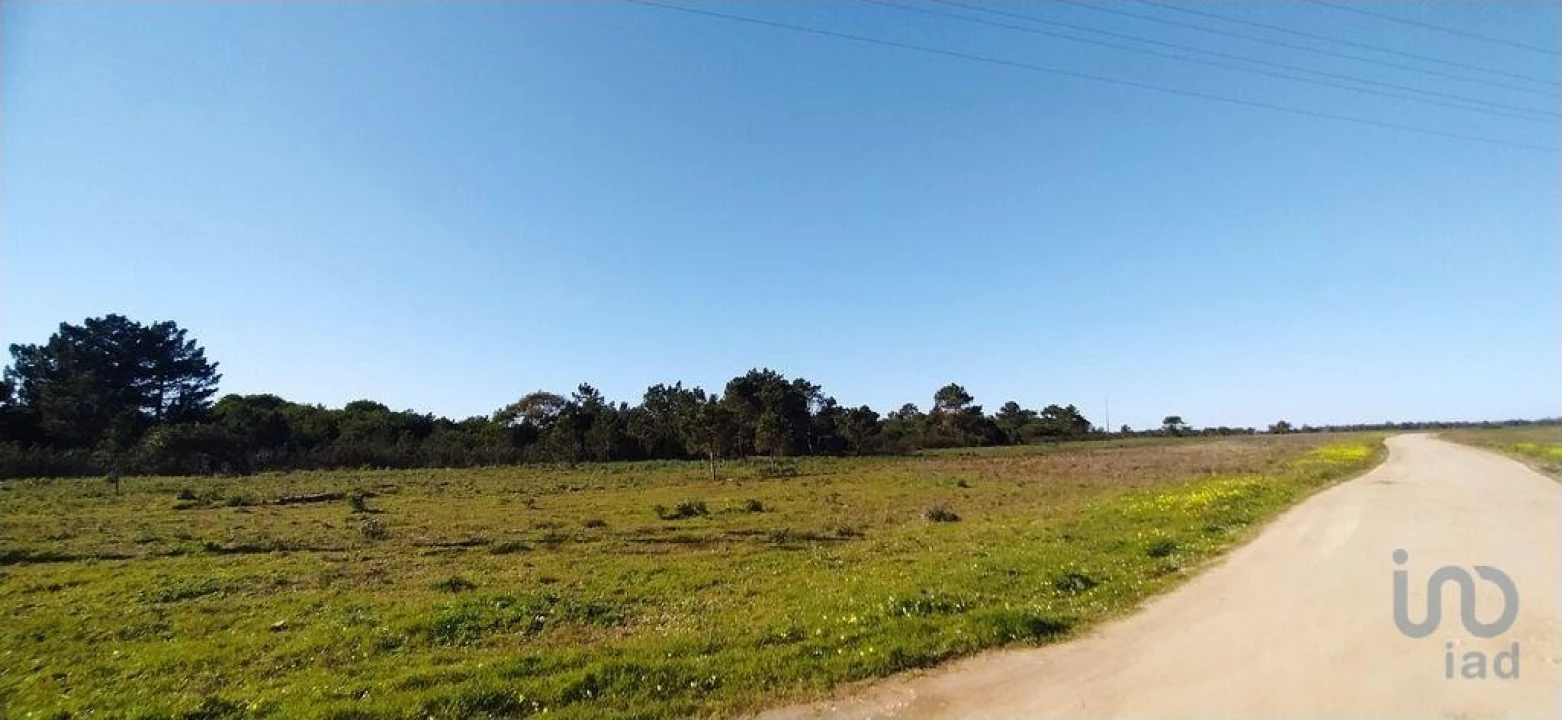 Terreno para Venda em Vila do Bispo e Raposeira Foto 3