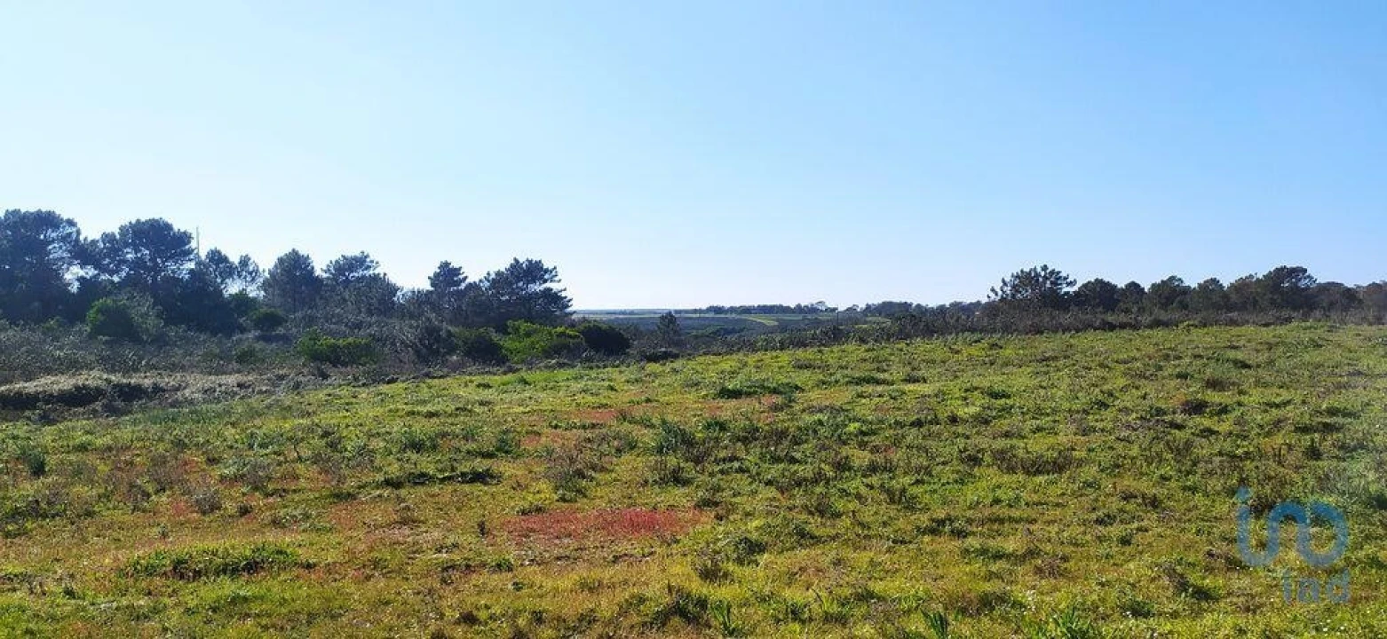 Terreno para Venda em Vila do Bispo e Raposeira Foto 13