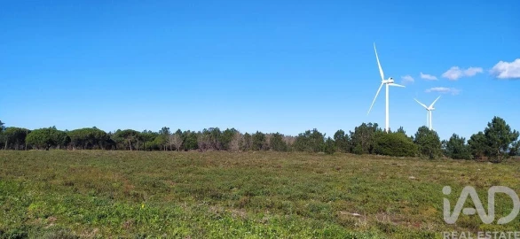 Terreno para Venda em Vila do Bispo e Raposeira