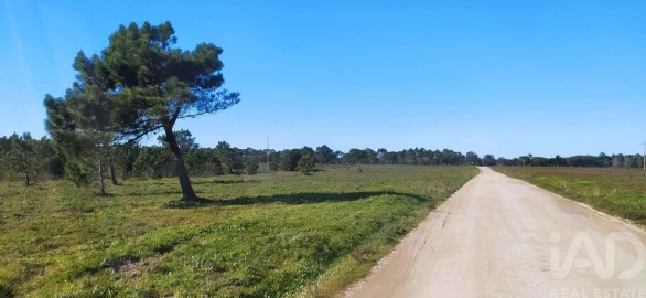 Terreno para Venda em Vila do Bispo e Raposeira
