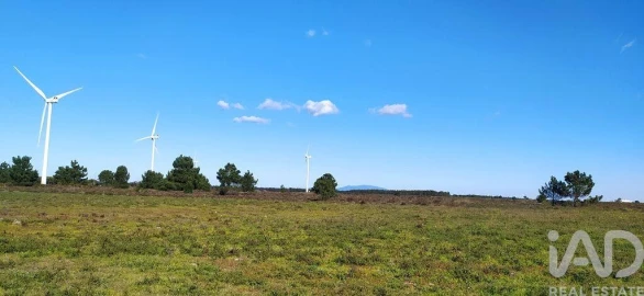 Terreno para Venda em Vila do Bispo e Raposeira