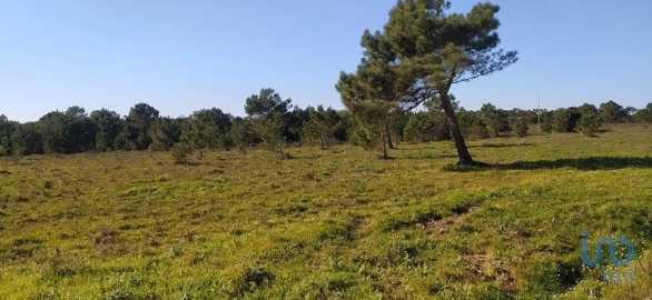 Terreno para Venda em Vila do Bispo e Raposeira
