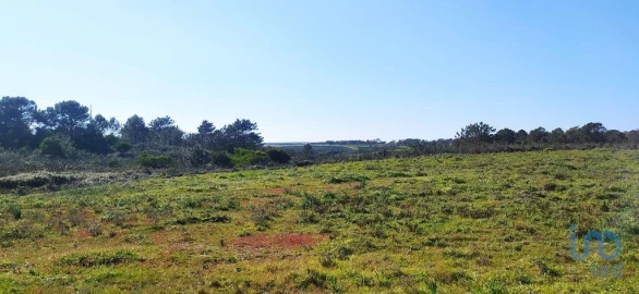 Terreno para Venda em Vila do Bispo e Raposeira