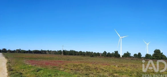 Terreno para Venda em Vila do Bispo e Raposeira