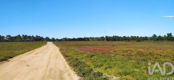 Terreno para Venda em Vila do Bispo e Raposeira