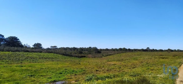 Terreno para Venda em Vila do Bispo e Raposeira