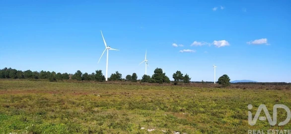 Terreno para Venda em Vila do Bispo e Raposeira