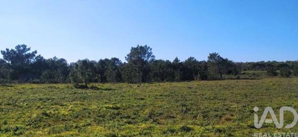 Terreno para Venda em Vila do Bispo e Raposeira