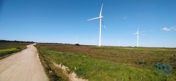 Terreno para Venda em Vila do Bispo e Raposeira