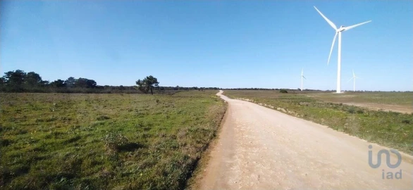 Terreno para Venda em Vila do Bispo e Raposeira