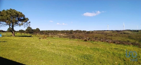 Terreno para Venda em Vila do Bispo e Raposeira