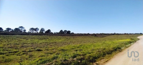 Terreno para Venda em Vila do Bispo e Raposeira