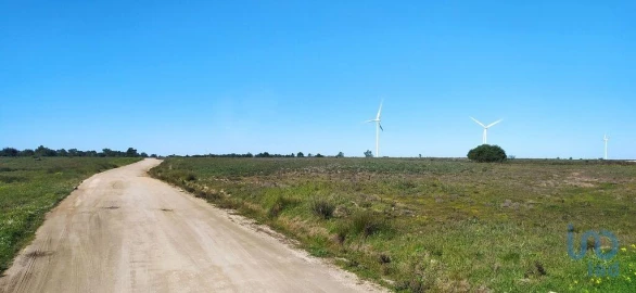 Terreno para Venda em Vila do Bispo e Raposeira