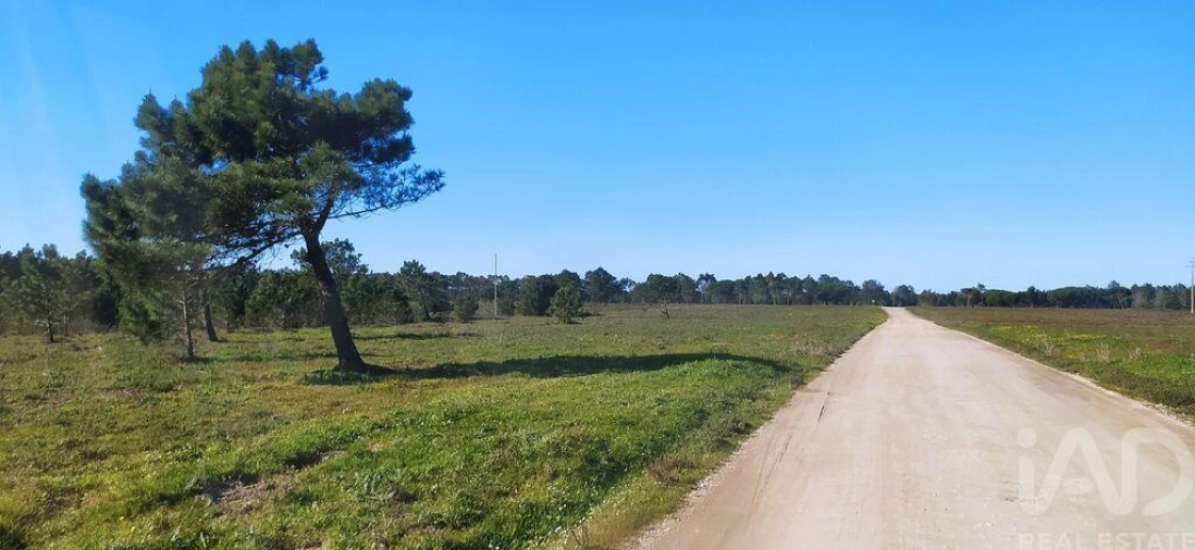 Terreno para Venda em Vila do Bispo e Raposeira Foto 16